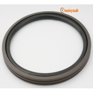 Combination Rotary Seal, Seal Ring Rdi